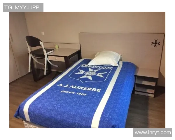 欧塞尔的崛起与发展历程探秘：从历史到未来的全景分析